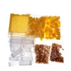 Germany Jenter Queen Rearing Kit,Nicot Bee Queens Rearing System,Queen Bee Breeding, Beekeeping Equipment,Beekeeper Supplies 2