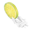 6pcs Bird Cage Accessories Birds Vegetable Clip Food Rack Parrot Clip Bird Thumb Box Bird Fruit Fork Bird Egg Holder Tray 6
