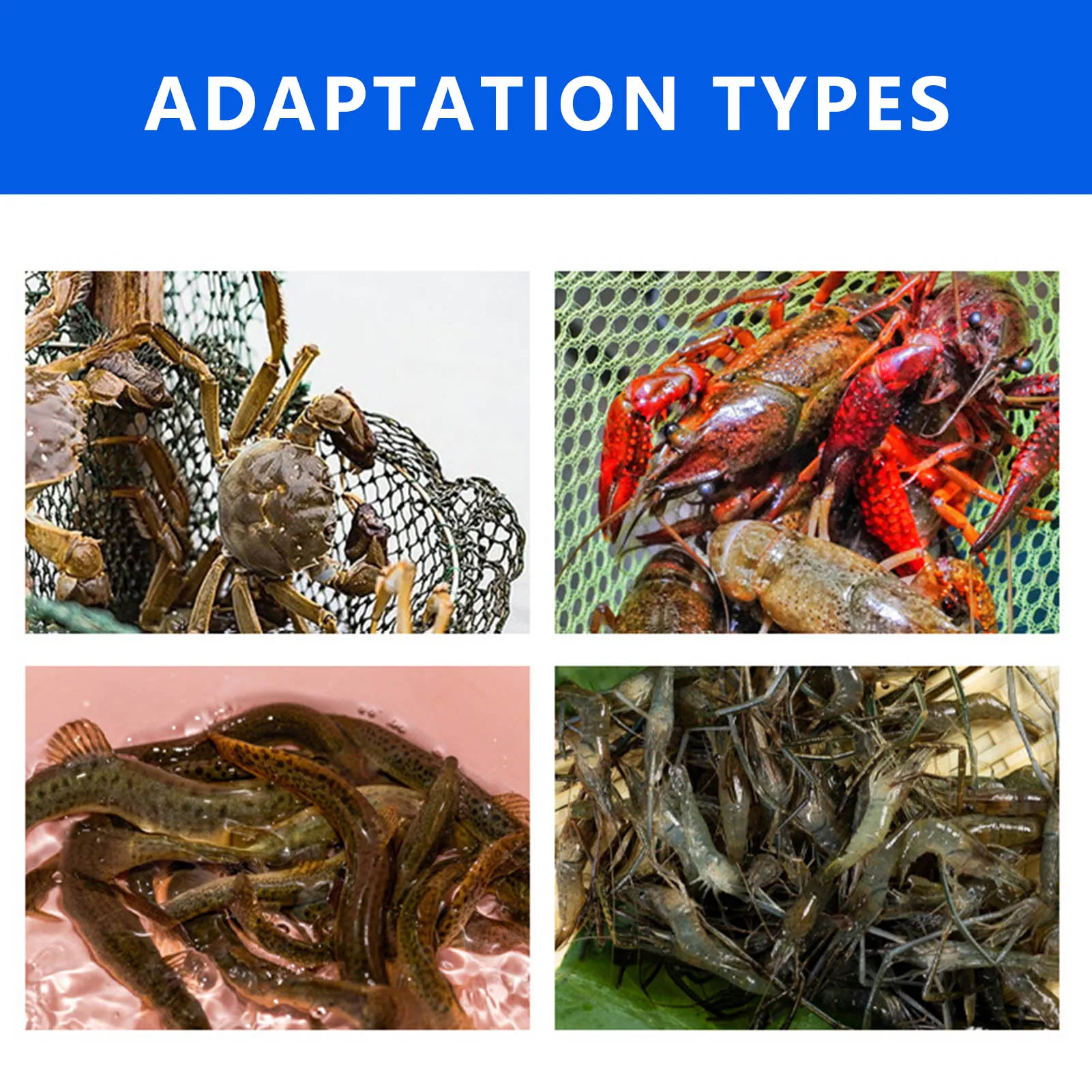 Slide image c47889a415ea4218a37ebead5a1b88dd