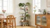 Metal Plant Stand Premium 8-Tier Tall Corner Flower Rack Space-Saving Display