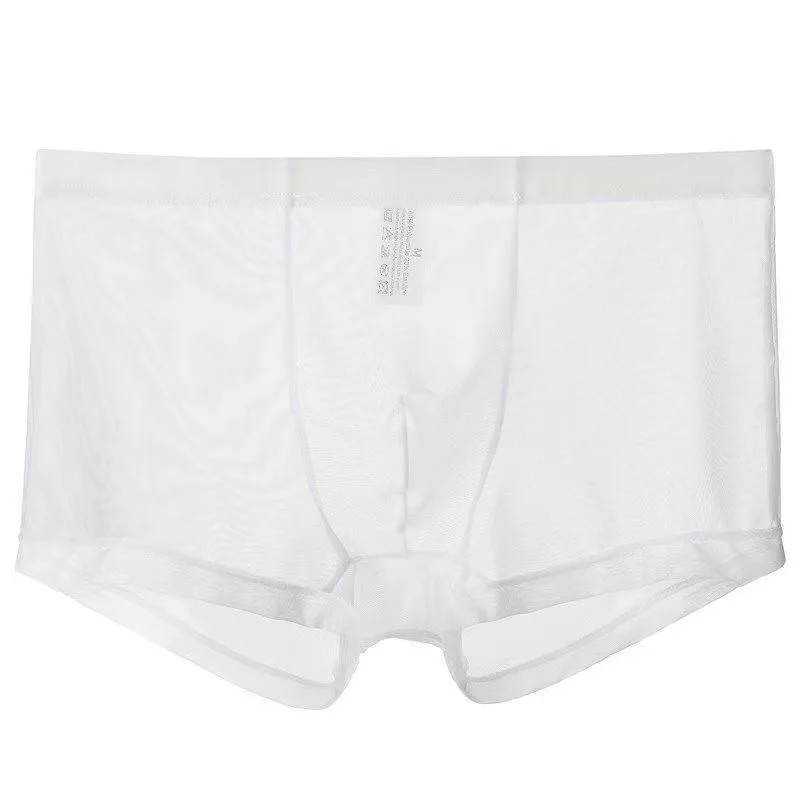Transparent Boxers for Men See Through Male Underpants Sexy Low Waist Panties Lingerie Intimates трусы мужские ropa interior sex