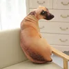 3D Cute Bend Dog Pillow 50CM Throw Pillow Lifelike Animal Funny Dog Head Cosplay Children Favorite Toy Cushion Christmas Gift 1