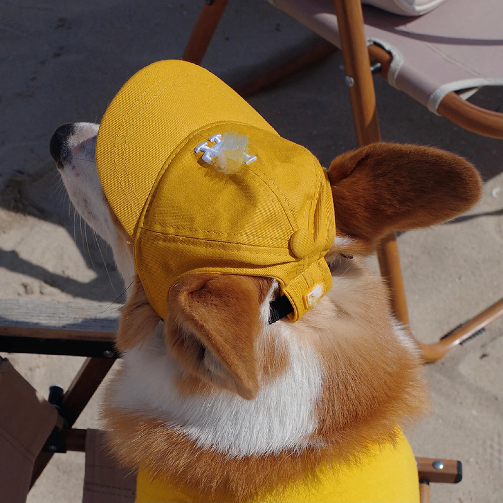 

Pet the dog dog go out pictures of popular logo sunshade hat dew ears little red (red baseball cap adjustable corgi