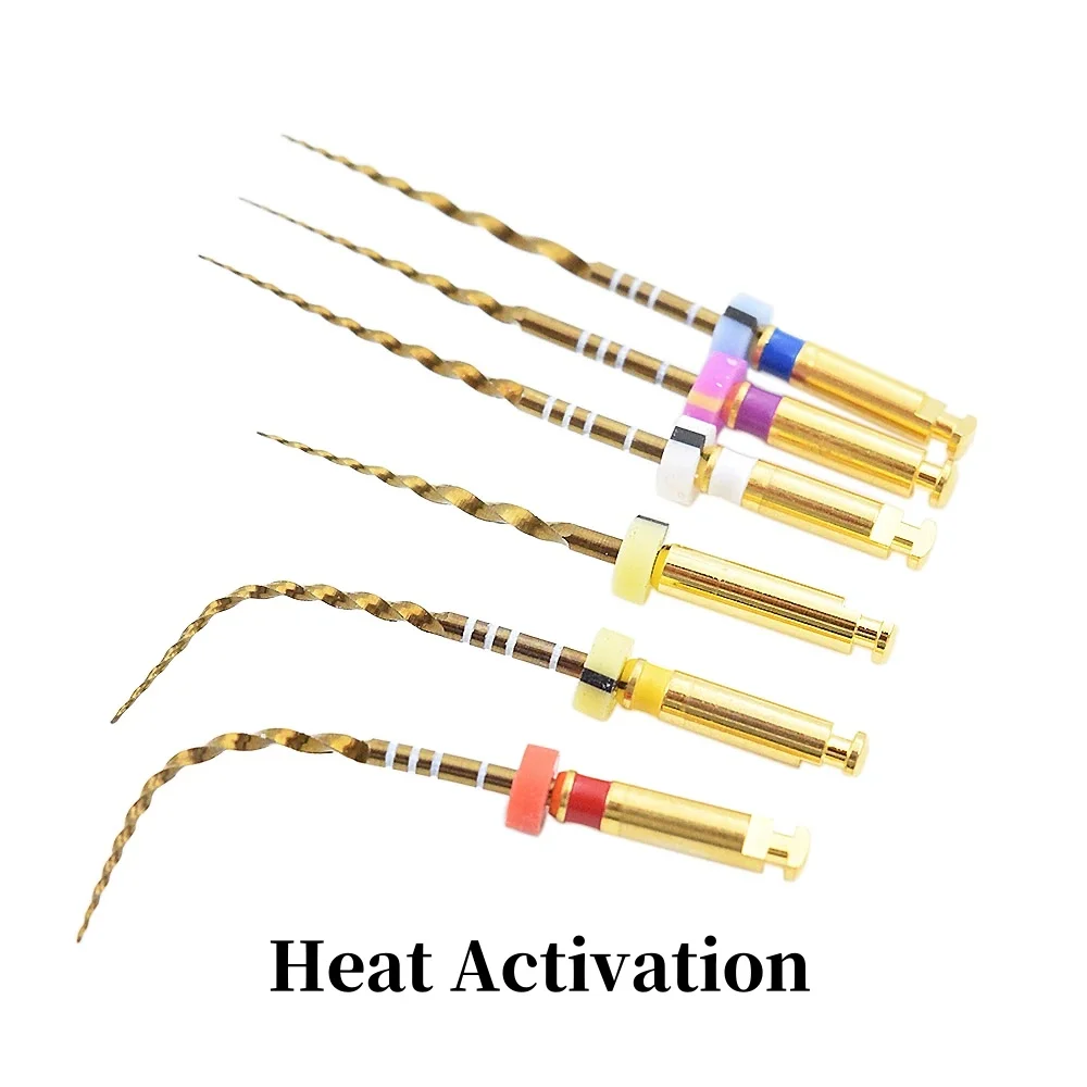 Glin Dental Endodontic Gold Flexible Rotary Files Nickel Titainium Golden Engine Use Files 31mm SX-F3 Dentistry Tools 3