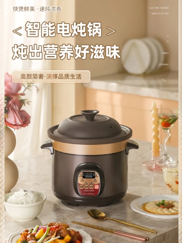 220V Royalstar Ceramic Electric Stewpot for Soup and Porridge with Purple Clay and Auto Functions C AA