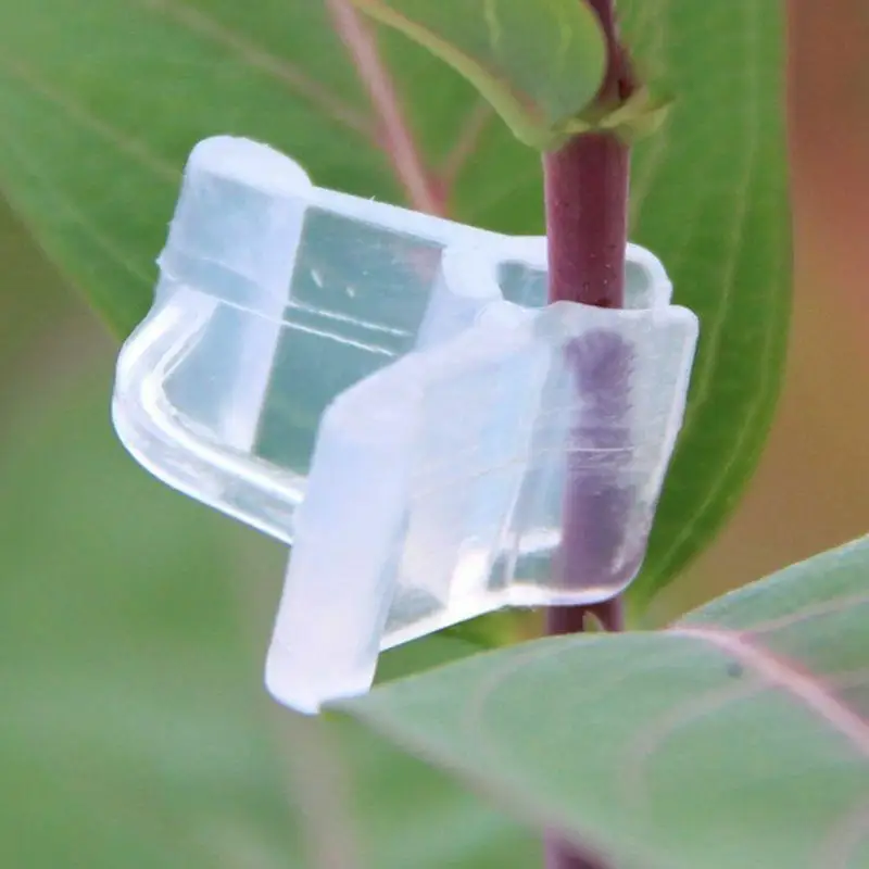 50 Plastic Grafting Clamps Garden Plant Support Clamps Round Red Clamps for Gardening Vegetables Flowers Shrubs plant clips
