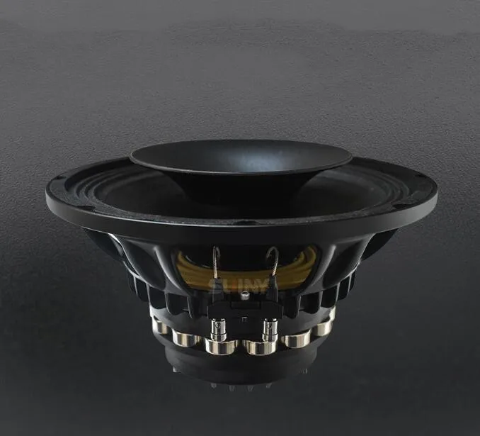 B050 10 Inch 12 Inch Coaxial Speaker Plum Blossom Rrubidium