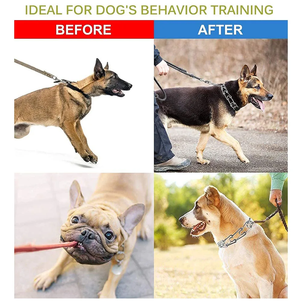 No-Pull Nylon-Covered Dog Prong Collar – Training Pinch Collar with Comfort Tips and Quick-Release Buckle for Dogs of All Sizes