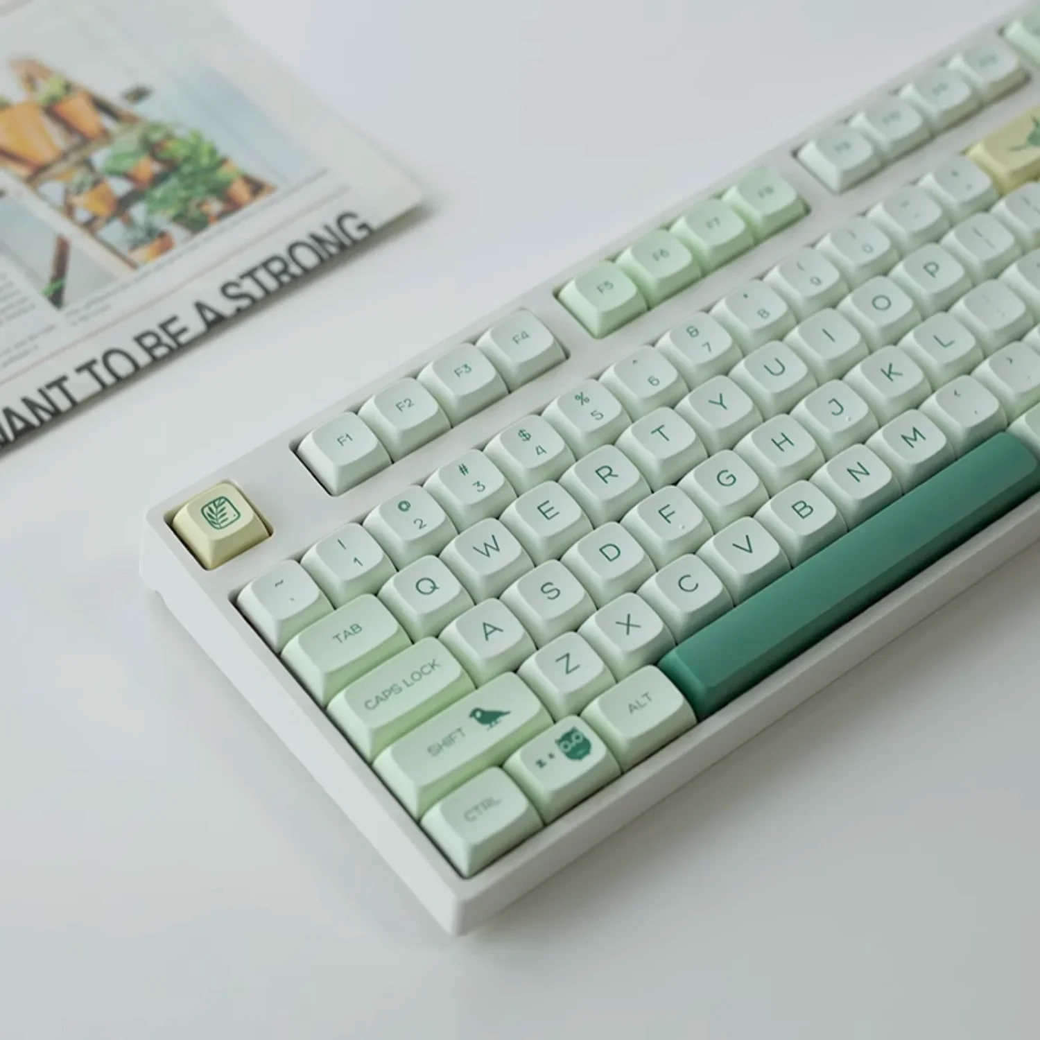 

Creative Keycaps Botanical Garden Theme Xda Highly Pbt Material Adaptable 60/64/84/98/108 Gaming Mechanical Keyboard MX Switch