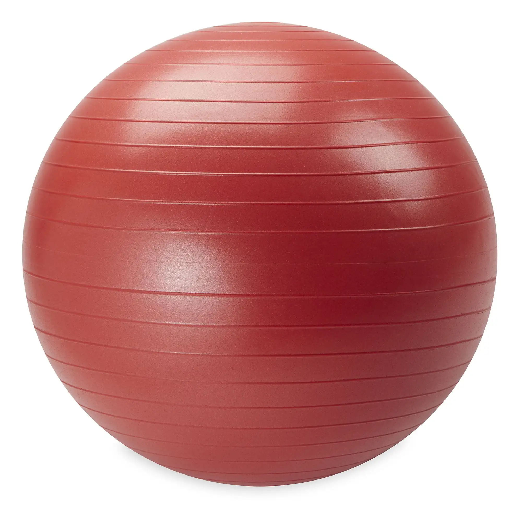 Weighted Stability Yoga Ball 4