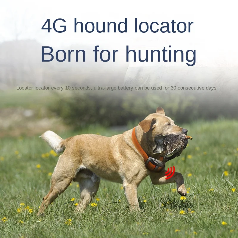 4G Positioning Hound Pet Anti-lost Device GPS Tracker Dog Cow Sheep Waterproof Long Standby Collar Locator