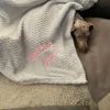 Personalized Embroidery Solid Color Soft Pet Blanket Custom Name Dog Flannel Blanket Pets Gift Blanket Puppy Blanket with Name 1