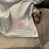 Personalized Embroidery Solid Color Soft Pet Blanket Custom Name Dog Flannel Blanket Pets Gift Blanket Puppy Blanket with Name 1