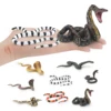 Simulated wild reptile, cobra, python, green forest python, coral snake, children's cognitive decorative ornament toy 5