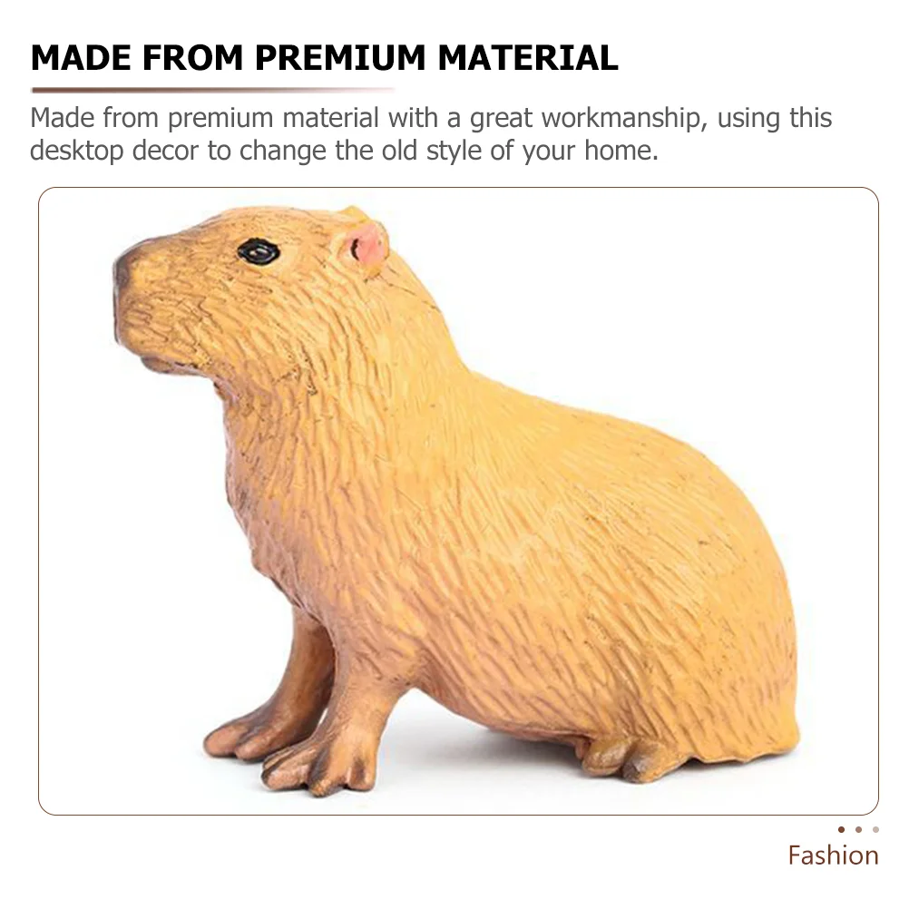 �ùķ��̼� ī�ǹٶ� ���� ��� ī�ǹٶ� ������ ���� ����, �� ��ȣ �峭�� ����, ������ �ǱԾ�, 4 ��