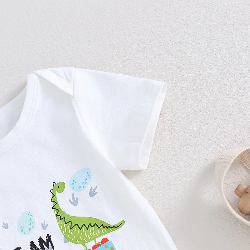 Baby Boy First Birthday Outfit 1st Dinosaur Bodysuit Romper Joggers Pant Set One Years Old Birthday Outfit Boy 4