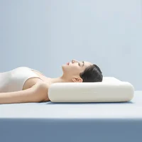 Memory Foam Pillow