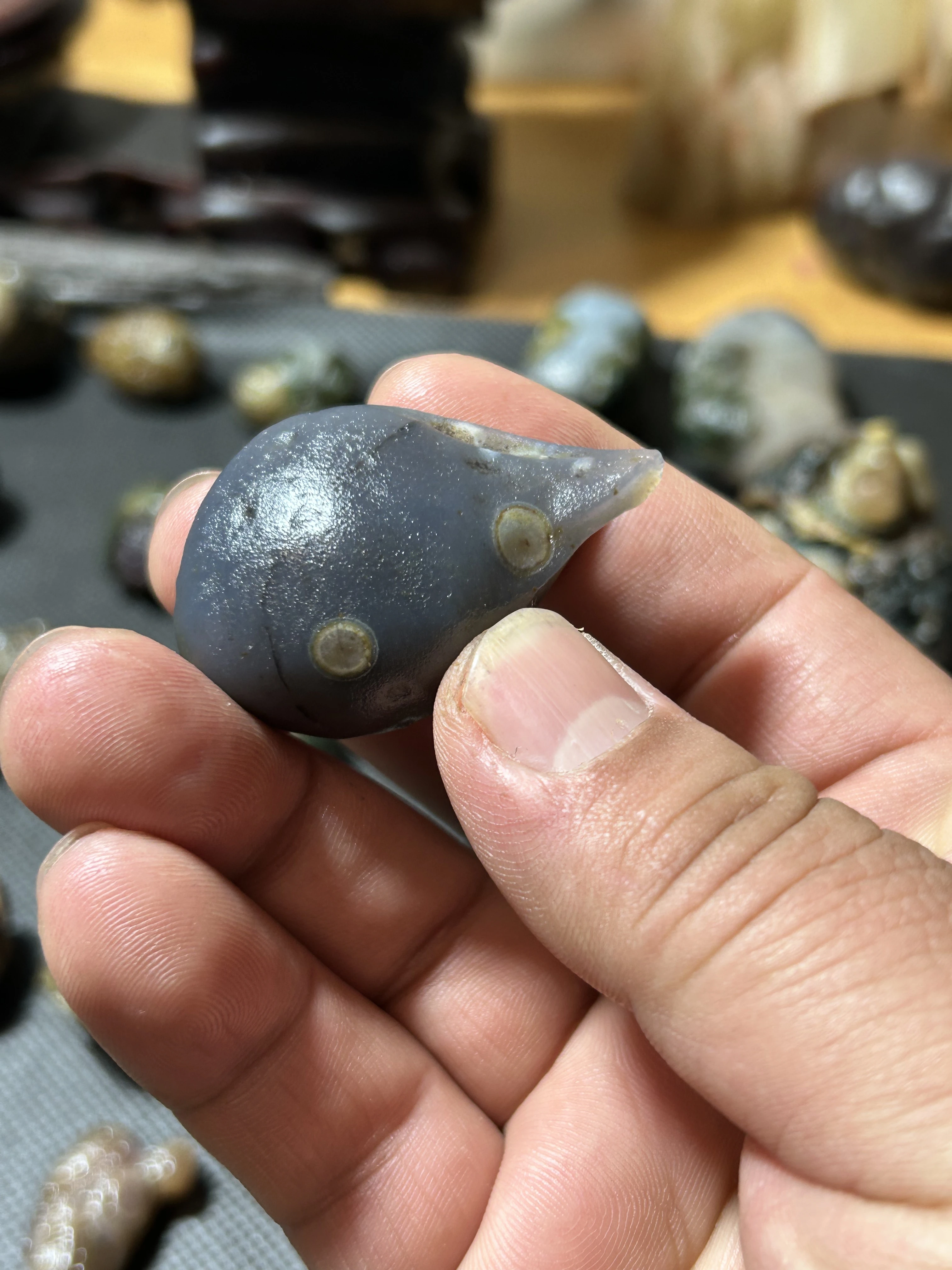 19 Pcs Natural Outer Mongolia South Gobi Agate Relief Pictographic Eyes Extraterrestrial Picture One Object Gift Of God Raw