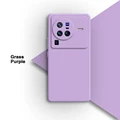 Grass Purple