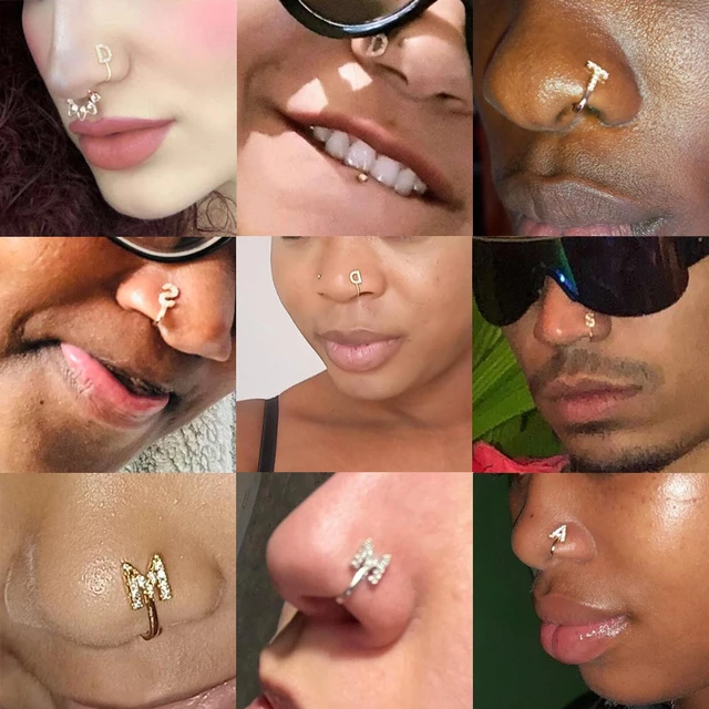 Fake Nose Rings