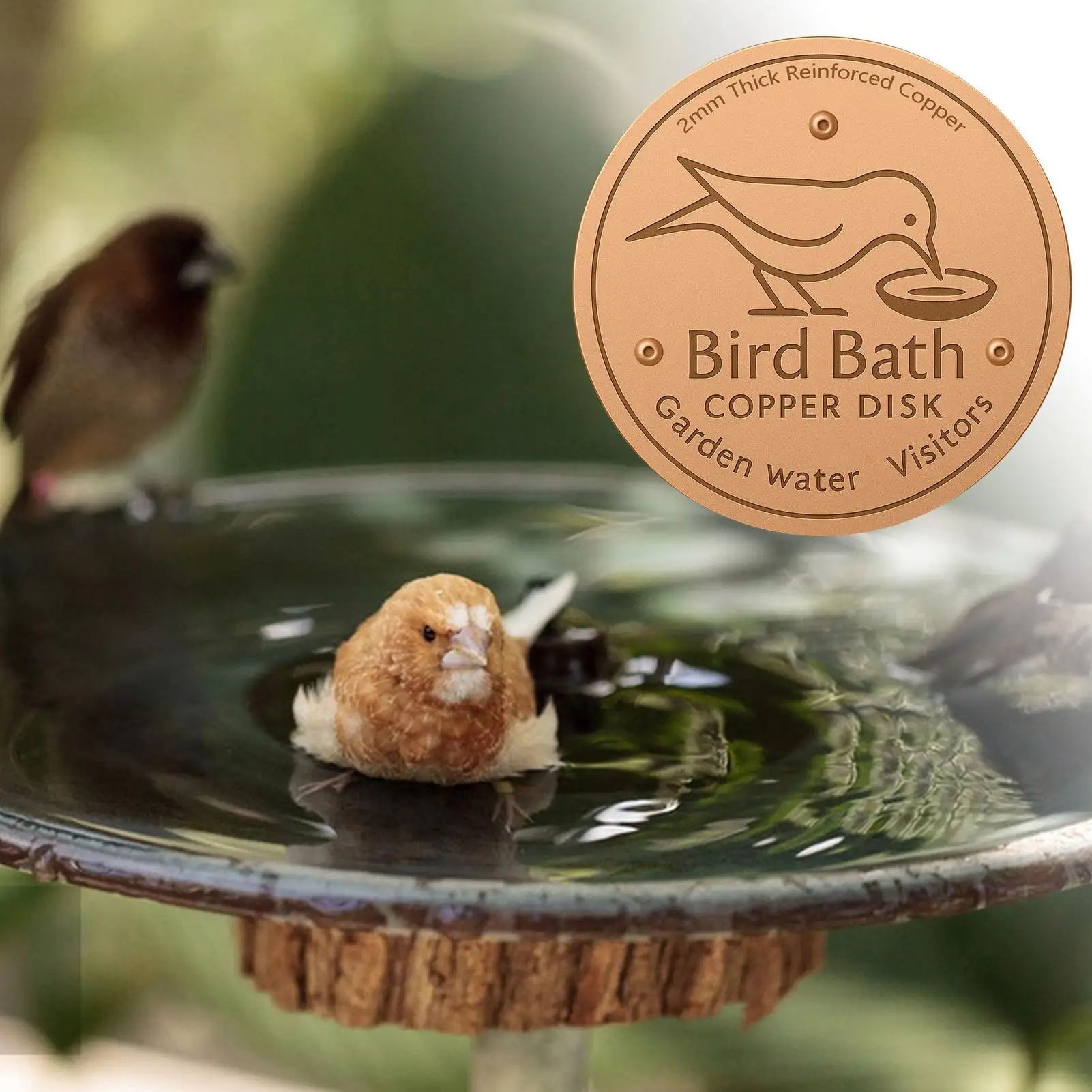 Bird Bath Copper Disk Pure Copper Cleaning Tray With 3 Point Support Bird Bath Purification Plate For Garden Patio Fountain