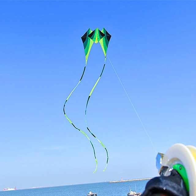 Flying Kites Outdoor Reel, Large Paraglider Kite