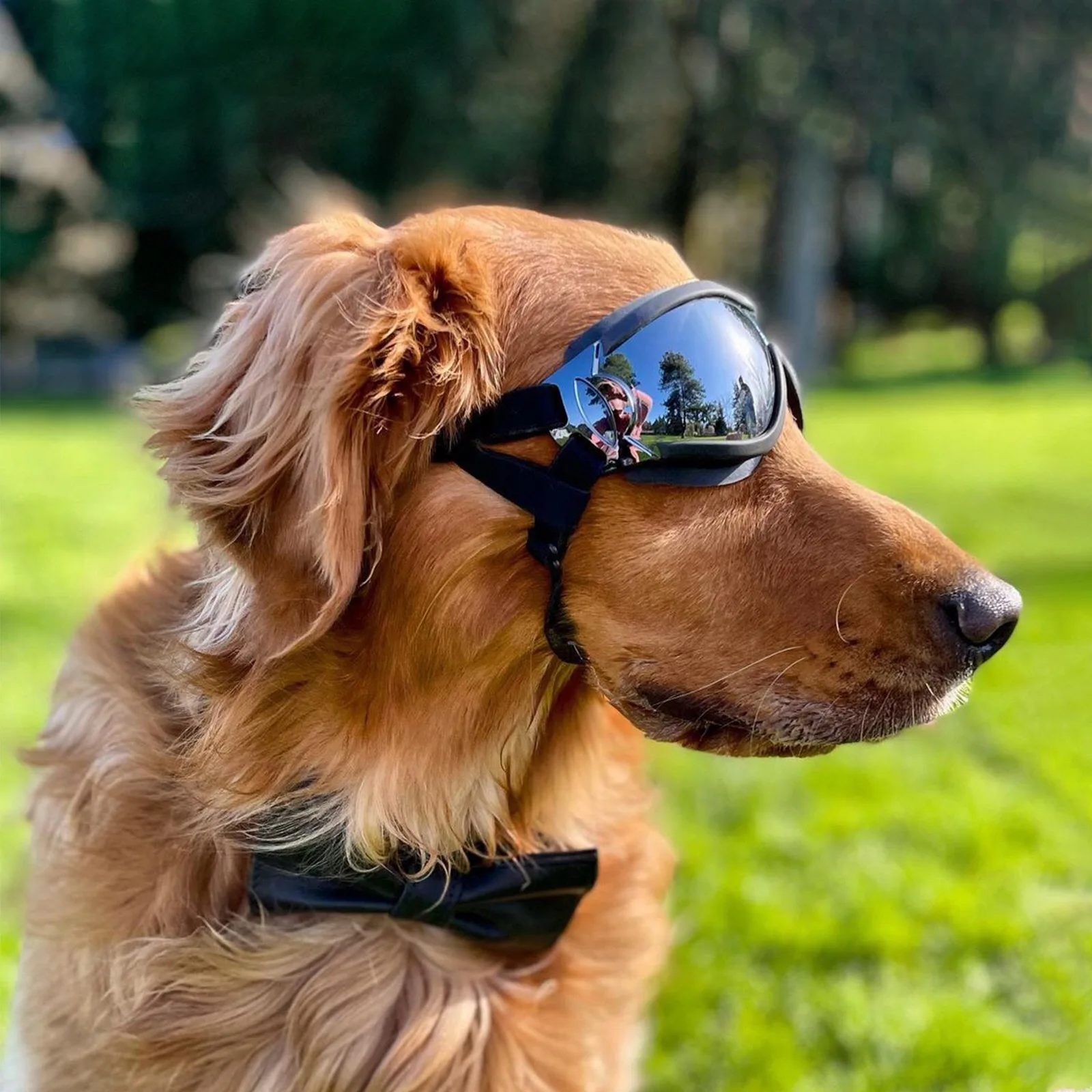 

Женские солнцезащитные очки для больших собак с эластичным ремешком, защита от УФ-лучей, пыли, тумана, ветра, водонепроницаемые очки для собак, очки для длинных змеиных собак