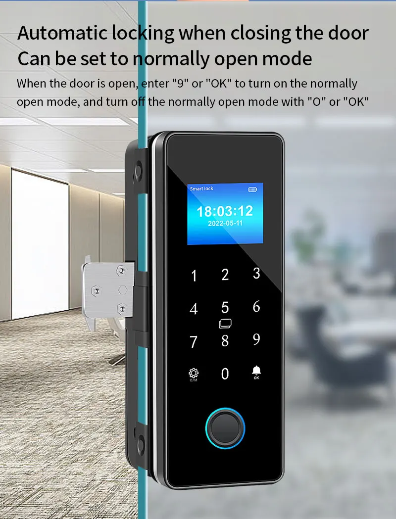 IP54 Waterproof Tuya Bluetooth Smart Door Lock Fingerprint Electronic Rim Lock F