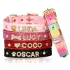 Bling Rhinestone Cat Collar Free Custom Puppy Cats Collars Personalized Kitten Name Charms Pet Crystal Necklace Cat Accessories 2