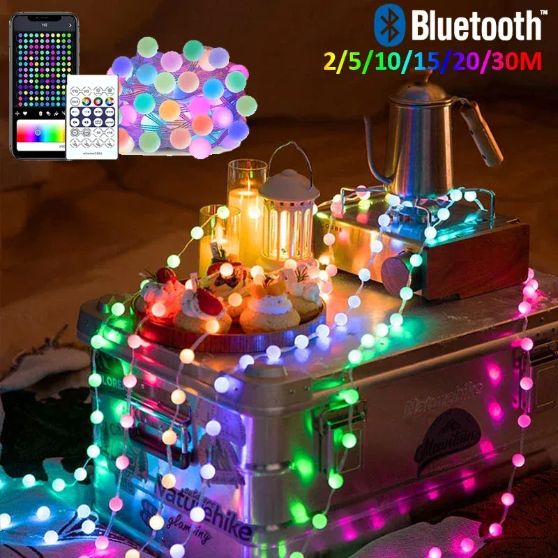 USB RGBIC Smart Fairy Lights Waterproof PVC Wire Bluetooth Timer Colorful Ball String Light Decoration Christmas Party Wedding