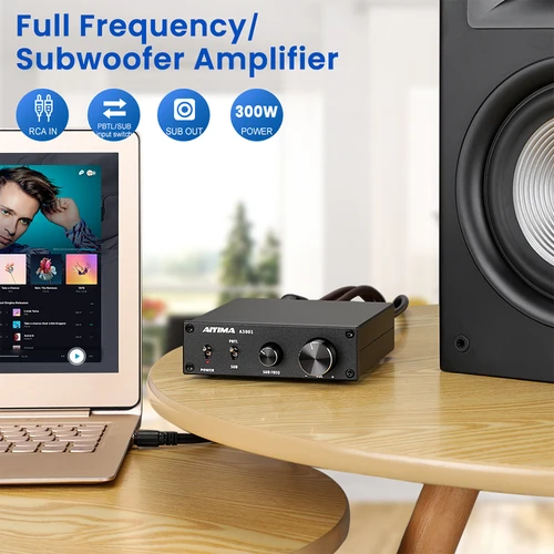 AIYIMA-오디오 A3001 TPA3255 서브 우퍼 앰프, 300W HIFI 스피커 앰프 모노 사운드 파워 클래스 D 홈 오디오 2