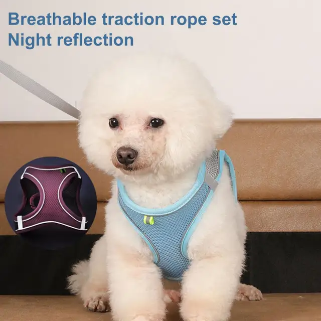 Body Shape Fitting Pet Vest Breathable Mesh Reflective Pet Vest Harness with Leash Adjustable Buckle for Small Dog Puppy for Pet 5