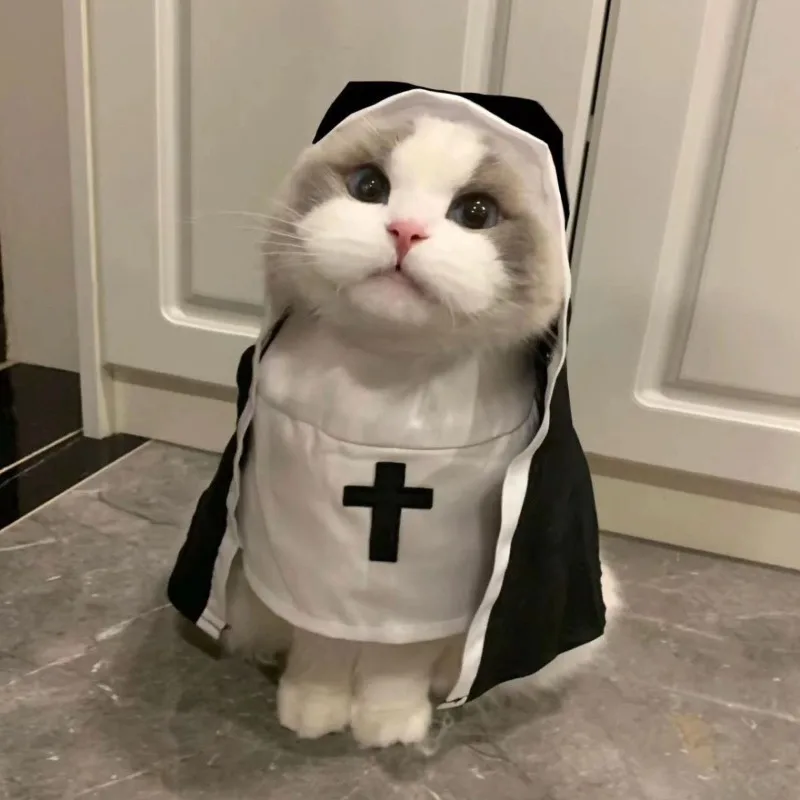 Cute Cat Dress Up Party Kitten Jesus Clothes For Small Medium Dogs Cats  Funny Cat Cosplay Party Costumes Puppy Pet Accessory - AliExpress 15