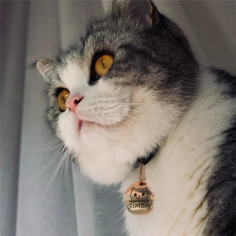 Cute Cat Collar Tags Personalized Pet ID Tags Cute Cat Face Collar
