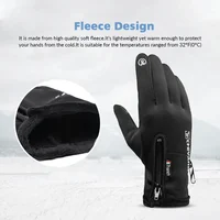 Winter Gloves Waterproof Thermal Touch Screen Thermal Windproof Warm Gloves Cold Weather Running Riding Sports Hiking Ski Gloves 6