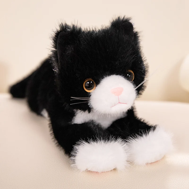 Lindo gato de dibujos animados de peluche de juguete kawaii gato de peluche de juguete muñeco de peluche para bebé niño almohada suave niña cumpleaños regalo de Navidad comprar a buen precio Lindo gato de dibujos animados de peluche de juguete kawaii gato de peluche de juguete muñeco de peluche para bebé niño almohada suave niña cumpleaños regalo de Navidad comprar a buen precio