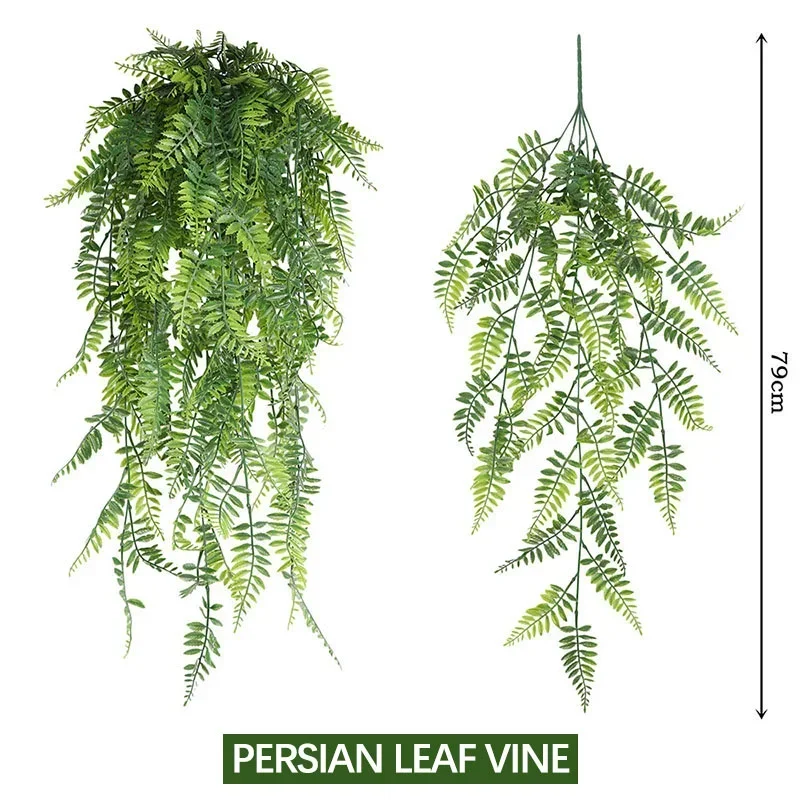 persian leaf vine