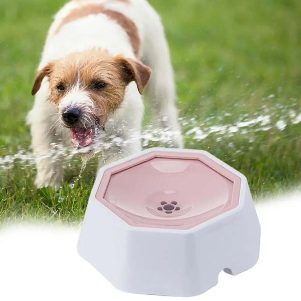 ���� ������ �ֿϵ��� �� ���漭 �׸�, �������� ����, �ǿ����� �� �׸�, ������ �� ����