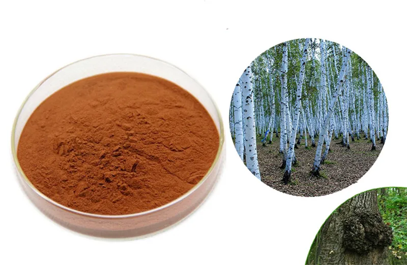 100% Natural Chaga Mushroom Powder Nourish the Skin and Hair Cancer Prevention Free Shipping 100% Natural Chaga Mushroom Powder Nourish the Skin and Hair Cancer Prevention Free Shipping