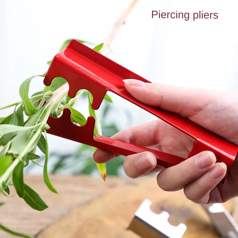 

New Leaf Thorn Removal Clip Rose Thorn Flower Shop To Thorn Clip Gardening Does Not Hurt Flowers Piercing Forceps Safety Tool