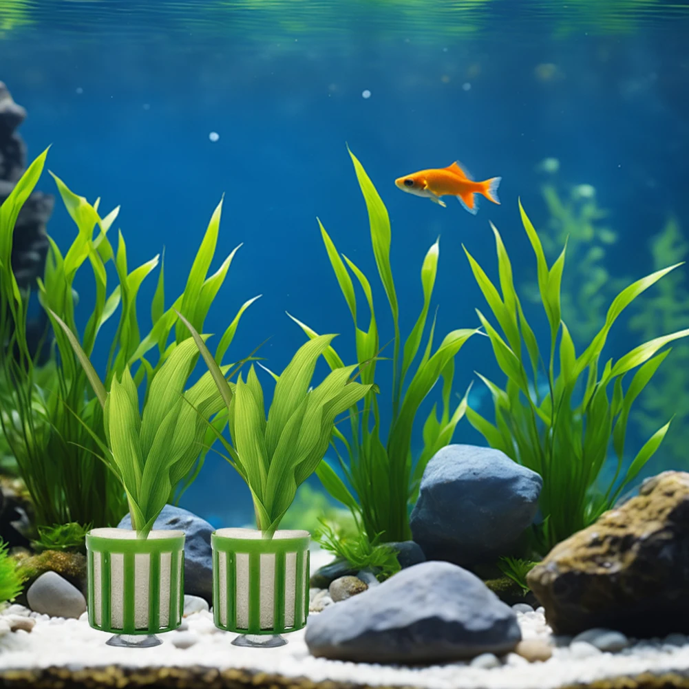 S245c7b894367408591a7bdbece162693H