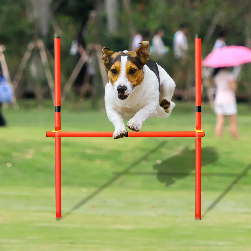 Dog Agility Equipment Portable Pet Training Equipments Dogs