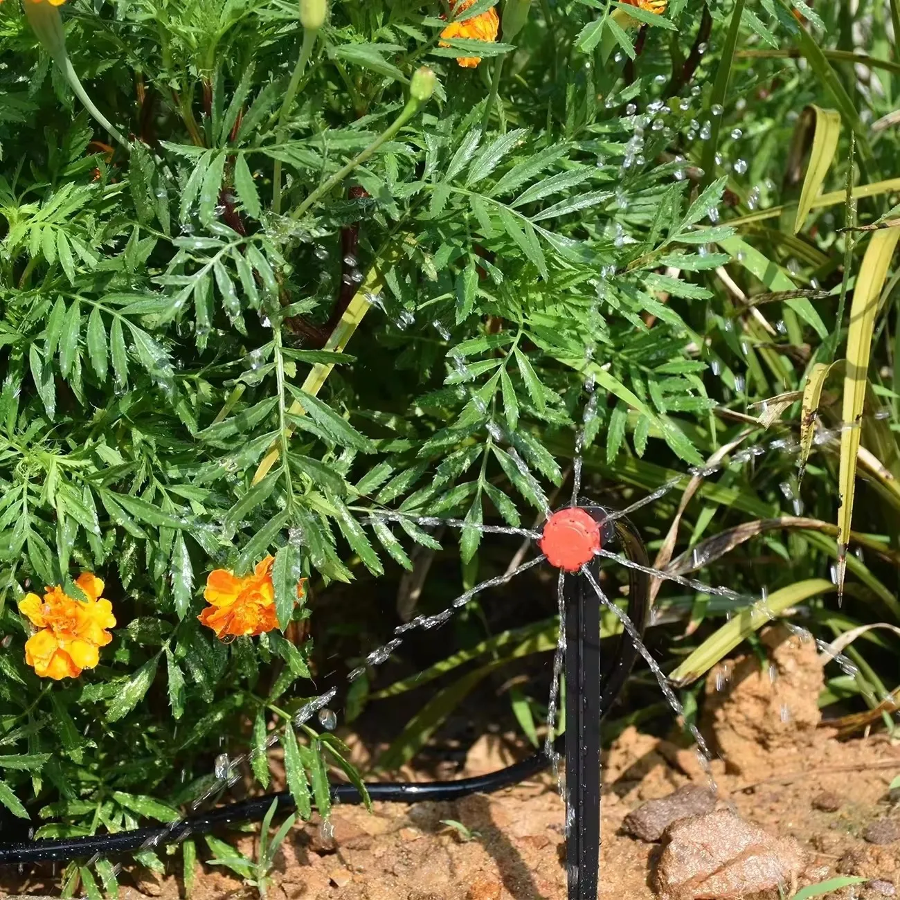 Drip Irrigation Kits KESLA Garden 15-25M 1/4 Automatic Watering Hose DIY Micro Dripper For Bonsai Greenhouse