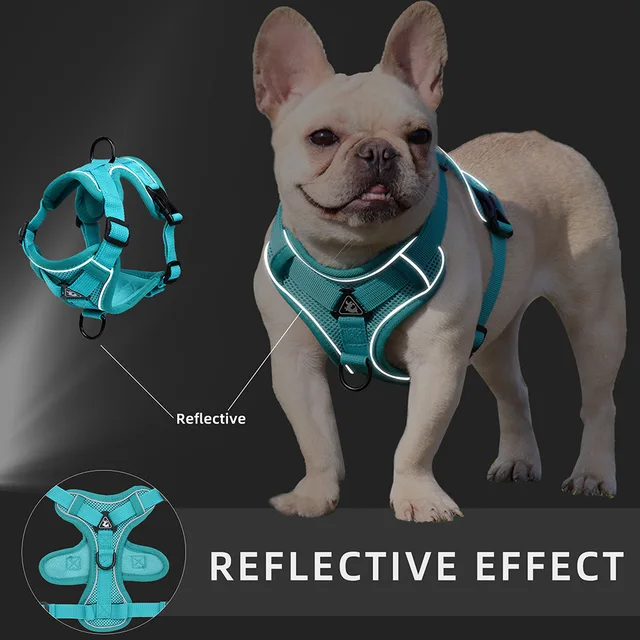 Dog Harness Cat Leashes Collar Bulldog Straps Small Medium Dog Puppy Harnesses Bichon Frise Vest Garlden Reflective Pet Supplies 3