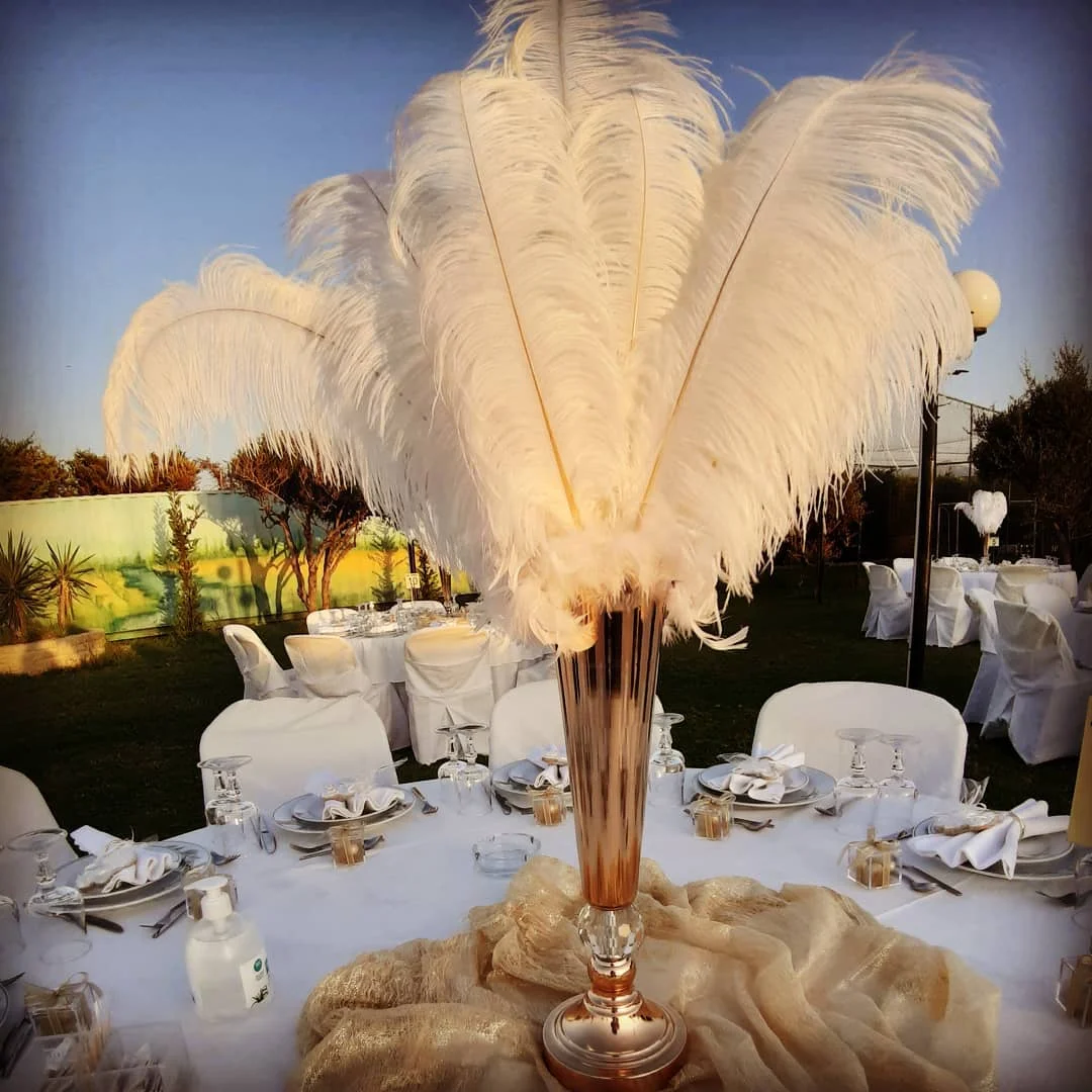 10 Pcs White Black Ostrich Feather for Table Centerpiece Decoration Plume  Real Large Ostrich Feathers Wedding Accessory - AliExpress