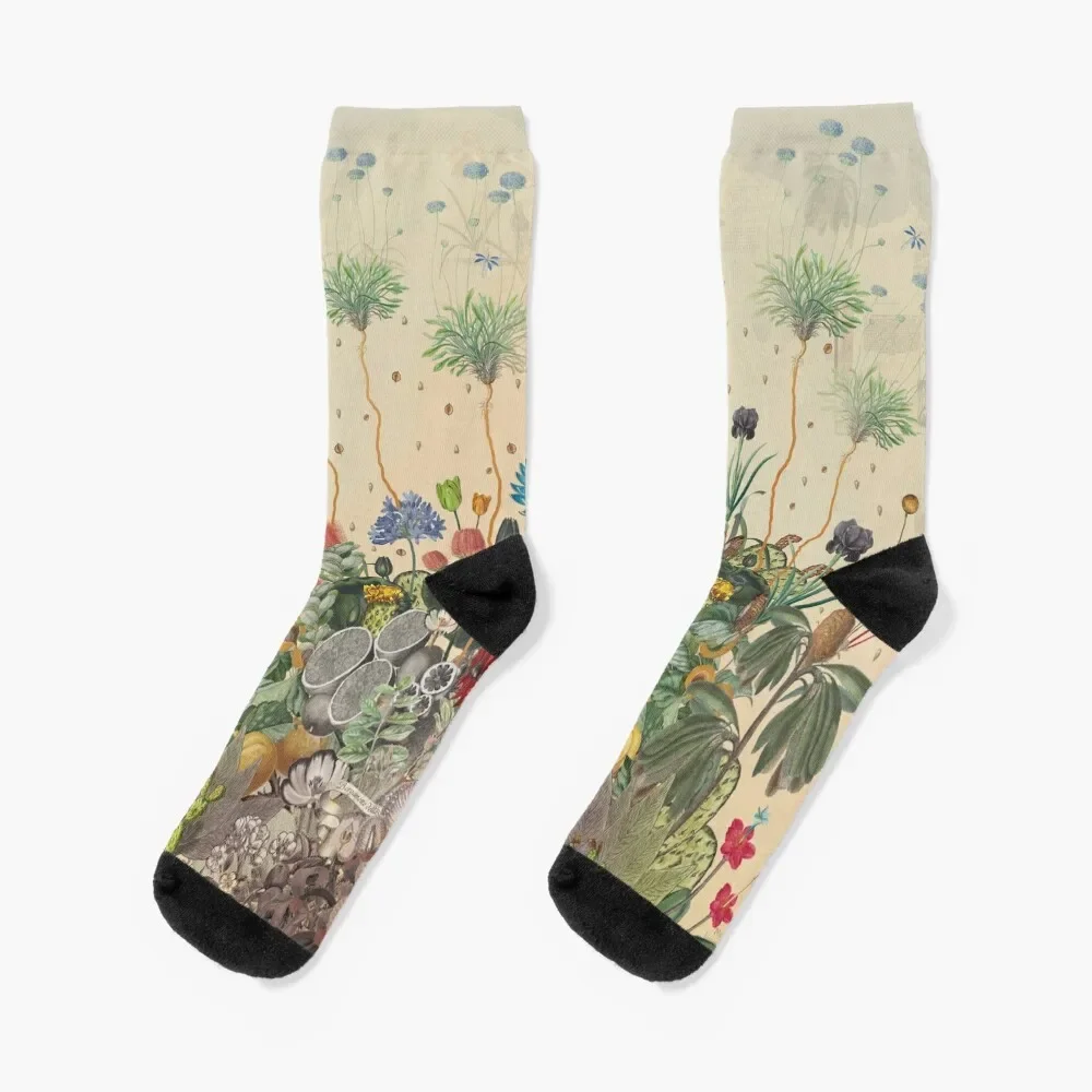 

FANTASTIC BOTANICAL Socks hip hop Running Ladies Socks Men's