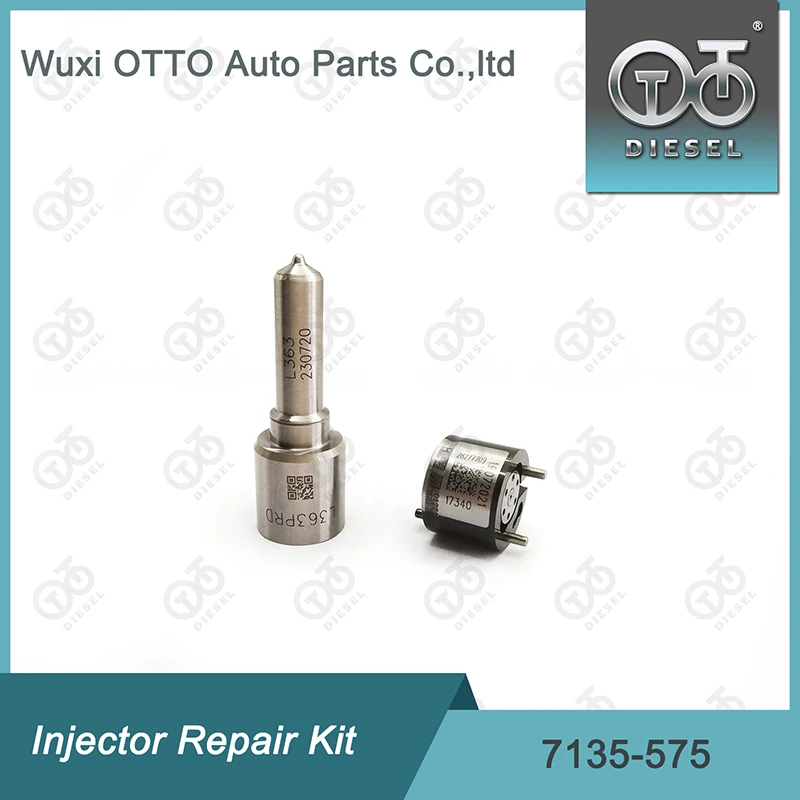 Injector Repair Kits 7135-575 For Injector 28231462 Nozzle L363PRD
