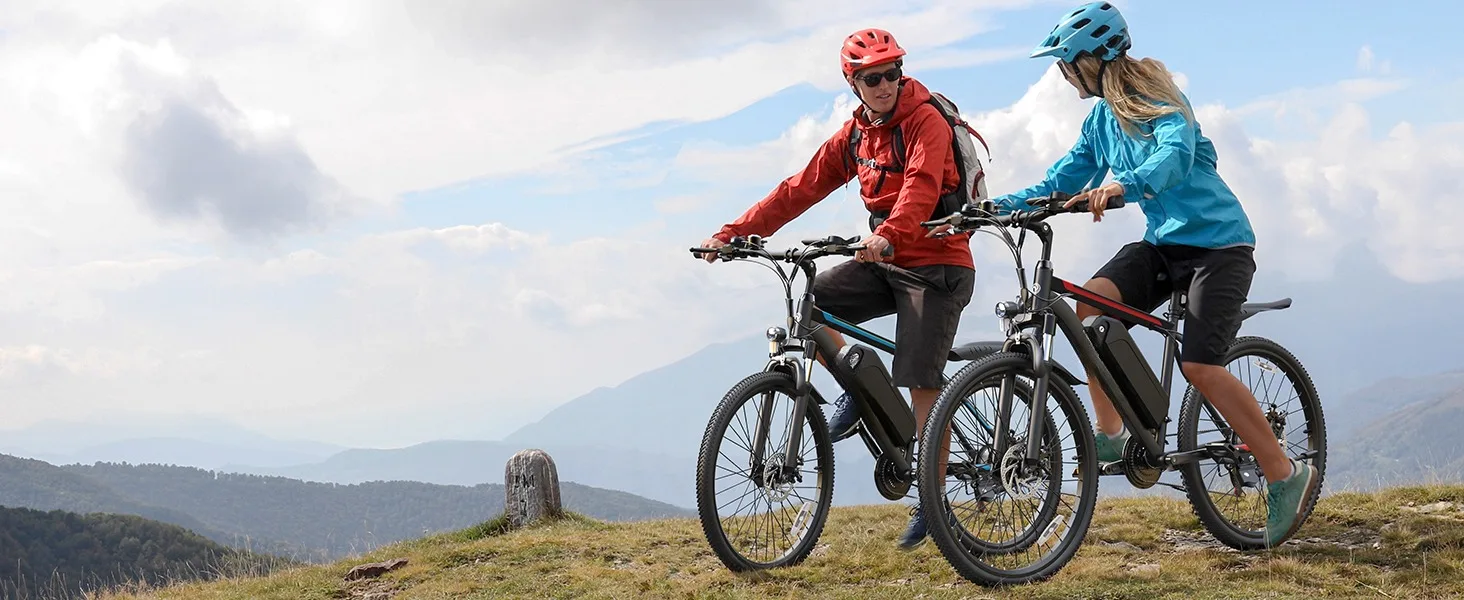 ebikes for adults