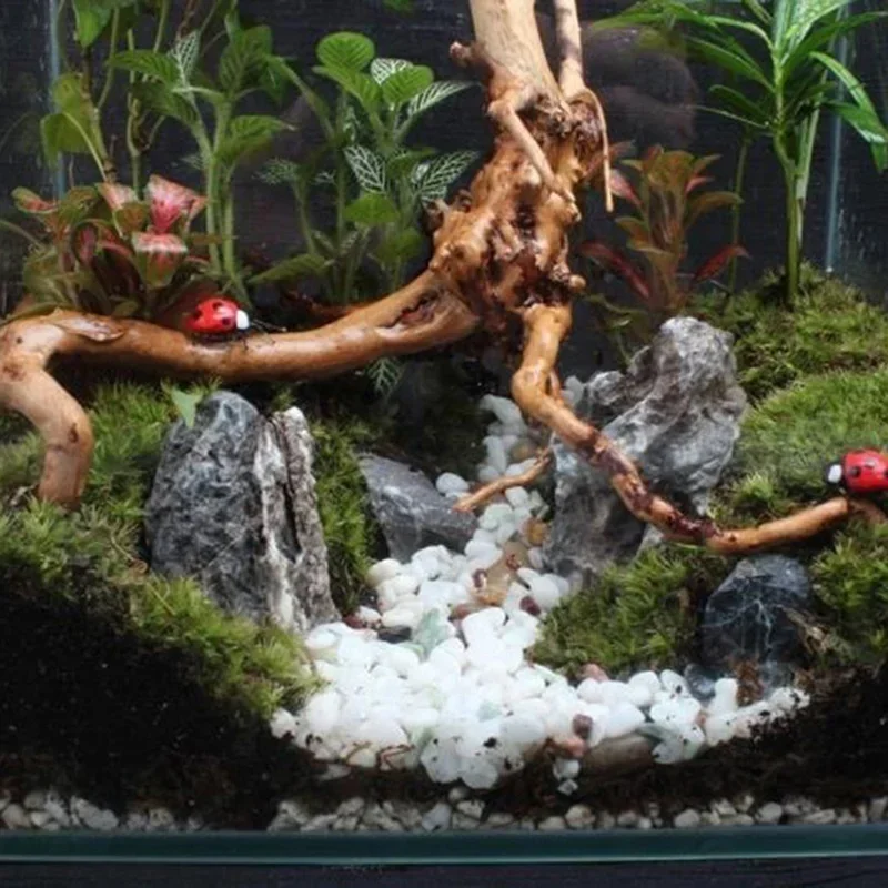Natural Driftwood Decor 3