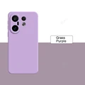 Grass Purple